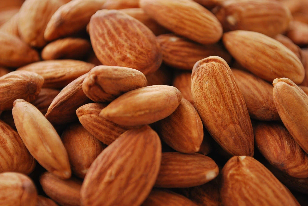nuts, one of the foods that are good for your teeth